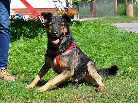 Warto mieć przy sobie Finkę :)