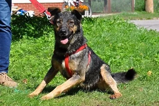 Warto mieć przy sobie Finkę :)