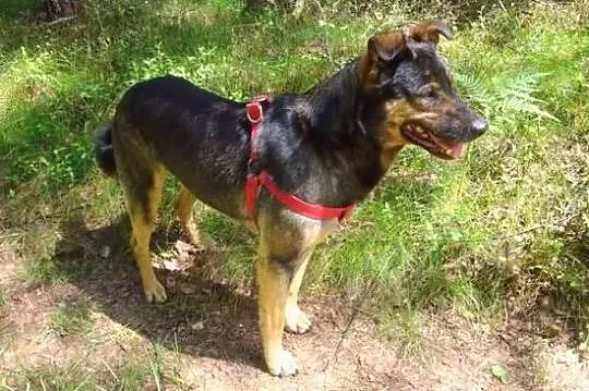 Warto mieć przy sobie Finkę :)