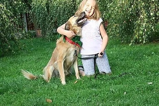 Złotowłosa, młodziutka  Auris, szuka domu !,  lube