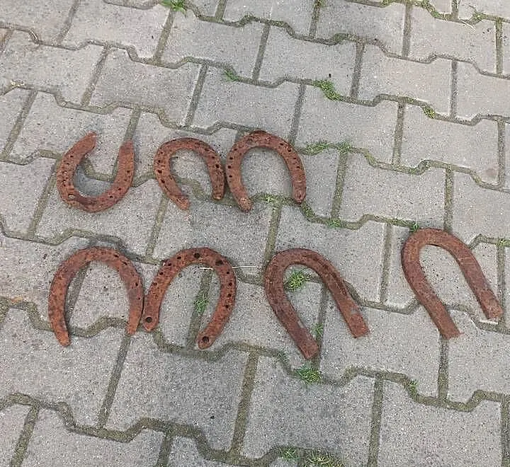 Podkowy dla konia lub na ssczęście, Lubelskie, Świdnik Duży