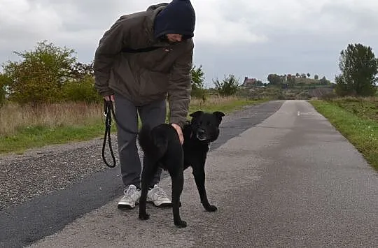 Schronisko w którym mieszka LUCEK wkrótce zostanie