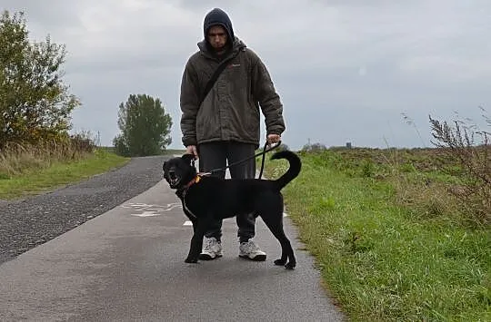 Schronisko w którym mieszka LUCEK wkrótce zostanie