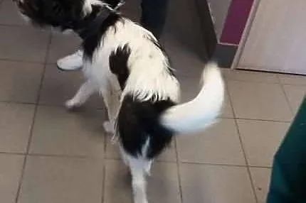 Koczował w krzakach wśród pól. Pilnie szukamy domu