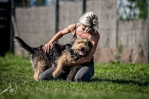 SZCZEPAN - mały psiak - do adopcji,  śląskie Katow