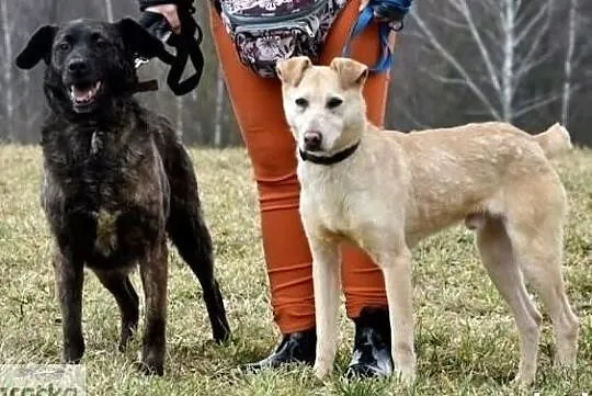 Chciałbym mieć domek w którym będę szczęśliwy i kochany, , Wrocław