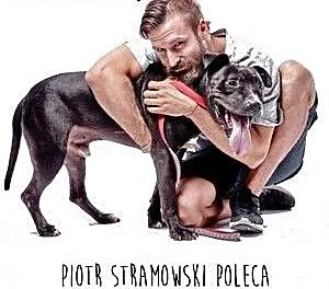 NEMO - pies na medal :) Złoty medal !, świętokrzy