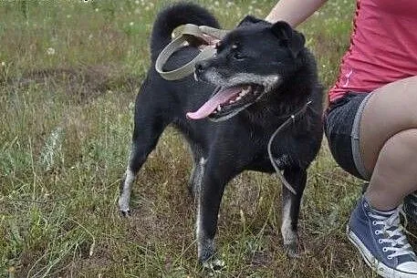 Pokochaj biednego Małpiatka z ubogiego schroniska 