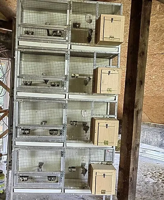 Regały aluminiowe na ptaki, Małopolskie, Siepraw