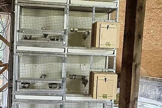 Regały aluminiowe na ptaki, Małopolskie, Siepraw