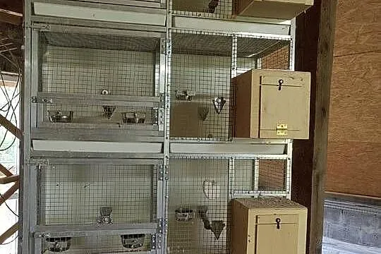 Regały aluminiowe na ptaki, Małopolskie, Siepraw