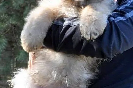 3mies.PIESKI XXL-BĘDĄ DUŻE,  mazowieckie Radom