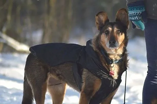 Kult młodości nadal w modzie, a Ona czeka!,  Kunde