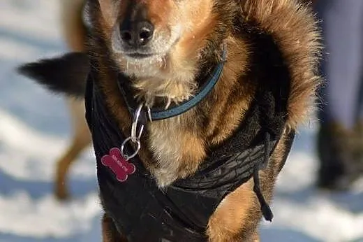 Kult młodości nadal w modzie, a Ona czeka!,  Kunde