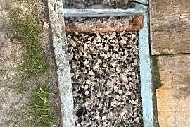 Sprzedaż Używanych Ruchomych Złoży Biologicznych HEL-X do filtrów