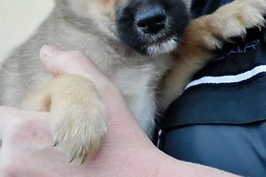 KOMU?! KOMU?! 2 msc MUMINEK CHCE DO DOMU!!!,  mazo