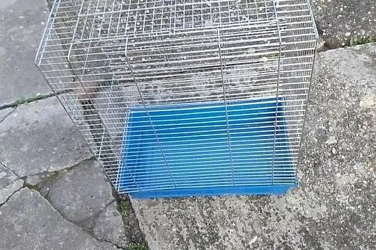 Klatką dla małych zwierzatek