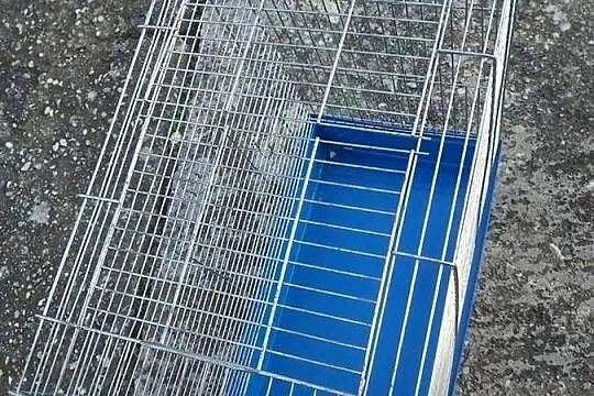 Klatką dla małych zwierzatek, Opolskie, Opole
