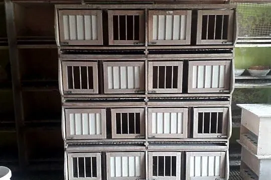 Gniazda lęgowe, regał import z Niemiec solidne- konkretne