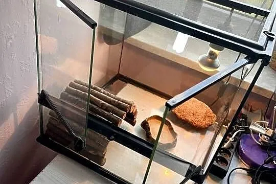 Sprzedam terrarium Eko Terra 45/45/45 z wyposażeniem., Mazowieckie, Warszawa