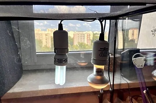 Sprzedam terrarium Eko Terra 45/45/45 z wyposażeniem., Mazowieckie, Warszawa