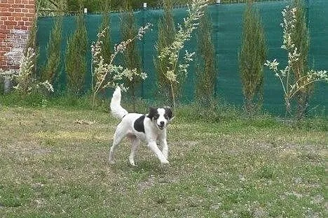 Jeden człowiek niszczy, inny ofiarując miłość- bud