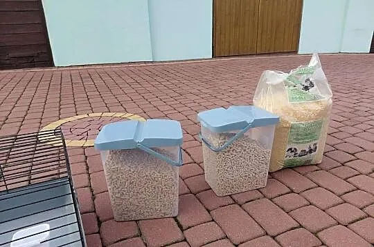 Klatka swinka morska krulik, Małopolskie, Mszanka