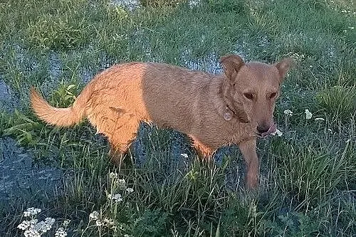 LUNKA radosna, młodziutka kruszynka czeka na dom