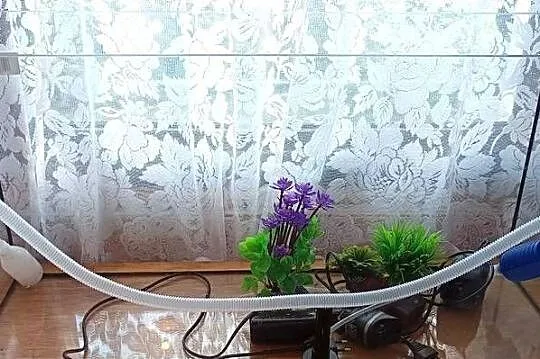 Akwarium 96L 80x30x40 szkło 6mm + pompy Aquael Aqua Szut komplet, Łódzkie, Radomsko