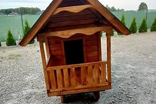 Duża buda dla psa, Podkarpackie, Jagiełła