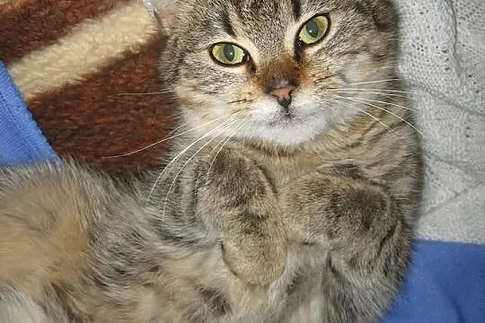 HANA... kto pokocha ten śliczny pycholek?
