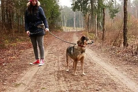 Sunia wiecznie uśmiechnięta SZUKA DOMU,  podlaskie