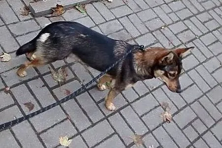 KAWA -poleca sie na dzień dobry :),  mazowieckie W