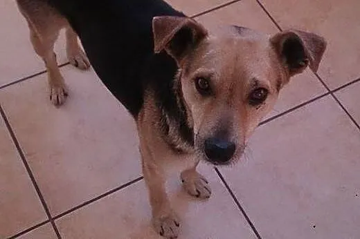 Szukamy DT lub DS na CITO,  świętokrzyskie Ostrowi
