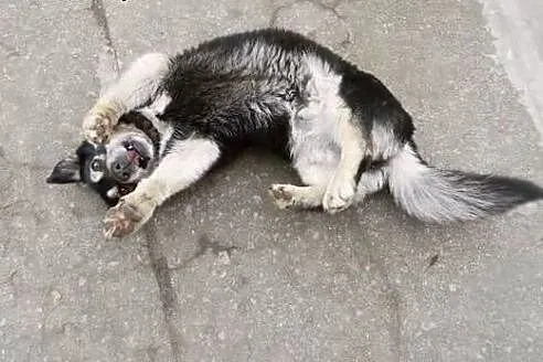 O, jejku! Na pewno zakochasz się w Bejku! :),  łódzkie Łódź