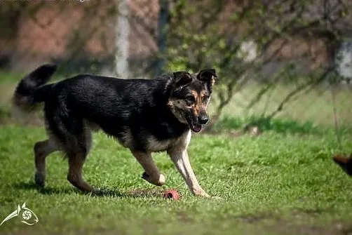 Wdzięk, styl, czar, szyk Leo nie przebije nikt:), 
