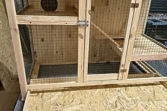 Klatka dla zwierząt , szynszyli, Podkarpackie, Żołynia