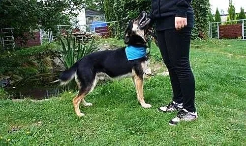 Teo - skazany na samotność...Podarujesz mu dom?,