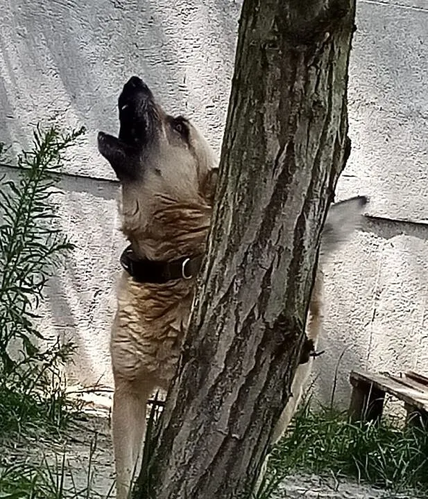 Czy nie zasługuję na dom?, Mazowieckie, Radom