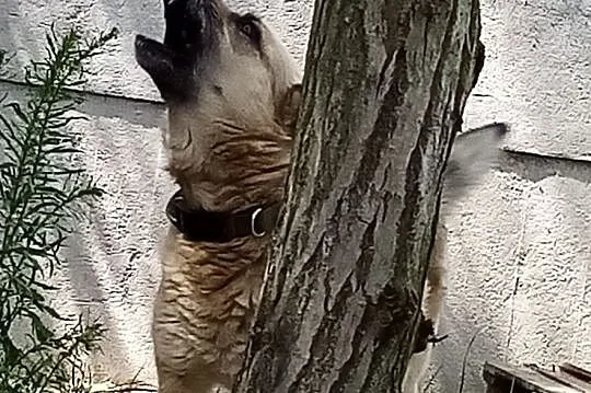Czy nie zasługuję na dom?, Mazowieckie, Radom