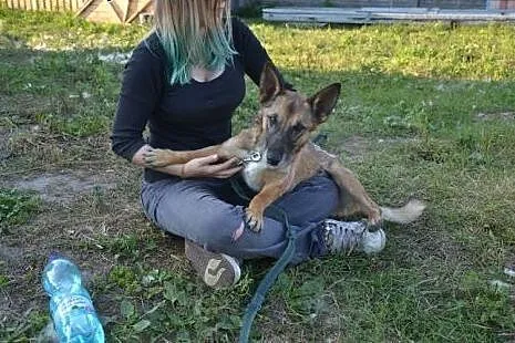Harold potrzebuje domu na wczoraj-to kochany. nied