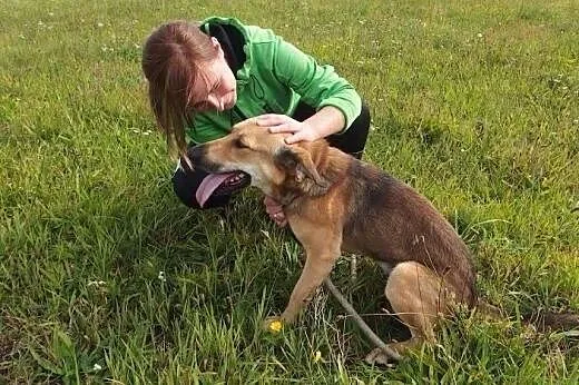 Empir to kochany, niezwykły psiak - w schronisku c