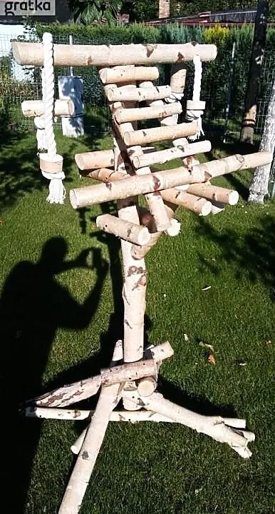 Stojaki dla papug, Śląskie, Ruda Śląska