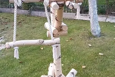 Stojaki dla papug, Śląskie, Ruda Śląska