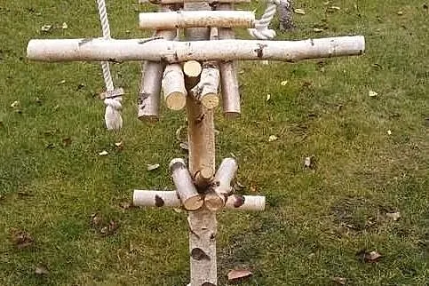 Stojaki dla papug, Śląskie, Ruda Śląska