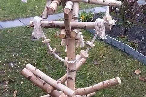 Stojaki dla papug, Śląskie, Ruda Śląska