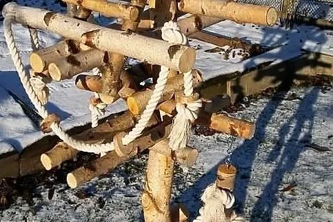Stojaki dla papug, Śląskie, Ruda Śląska