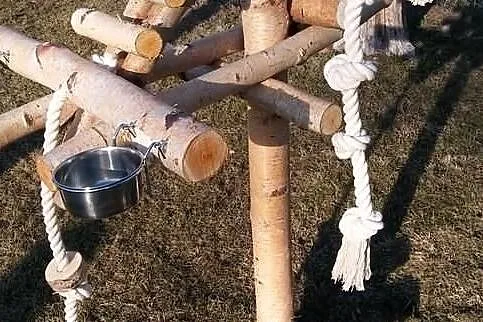 Stojaki dla papug, Śląskie, Ruda Śląska