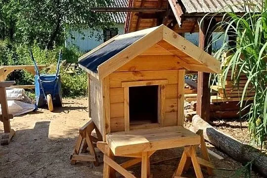 Buda dla dużego psa xxl, Lubelskie, Zamość