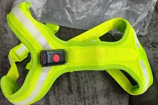 świecące szelki dla psa w kolorze neonowym żółtym zwiększają widoczność i b